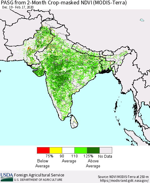 Southern Asia PASG from 2-Month Crop-masked NDVI (MODIS-Terra) Thematic Map For 2/11/2020 - 2/20/2020