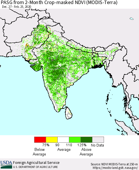 Southern Asia PASG from 2-Month Cropland NDVI (Terra-MODIS) Thematic Map For 2/21/2020 - 2/29/2020