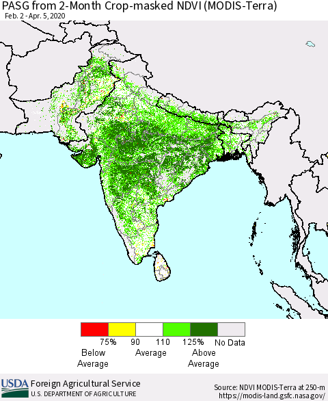 Southern Asia PASG from 2-Month Cropland NDVI (Terra-MODIS) Thematic Map For 4/1/2020 - 4/10/2020
