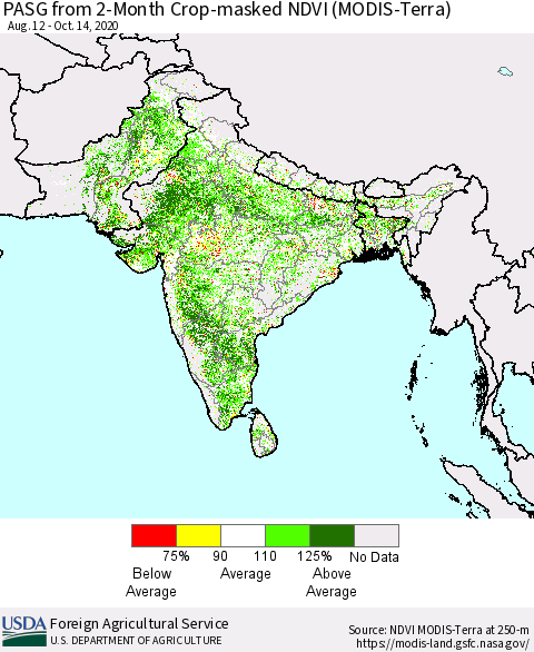 Southern Asia PASG from 2-Month Crop-masked NDVI (MODIS-Terra) Thematic Map For 10/11/2020 - 10/20/2020