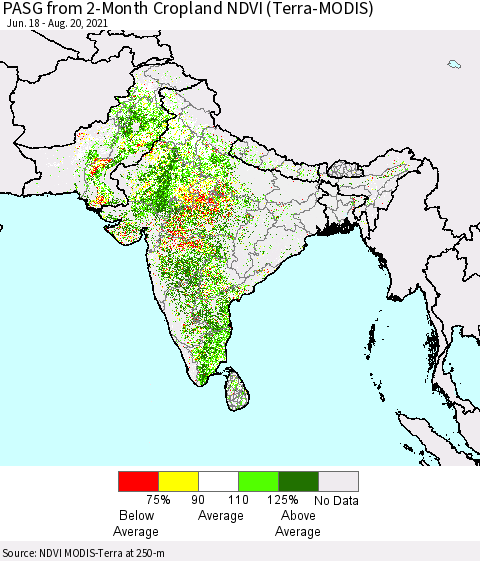 Southern Asia PASG from 2-Month Cropland NDVI (Terra-MODIS) Thematic Map For 8/13/2021 - 8/20/2021