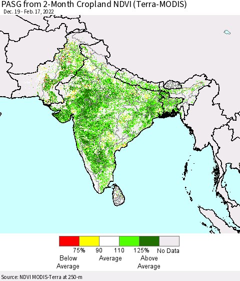 Southern Asia PASG from 2-Month Cropland NDVI (Terra-MODIS) Thematic Map For 2/10/2022 - 2/17/2022