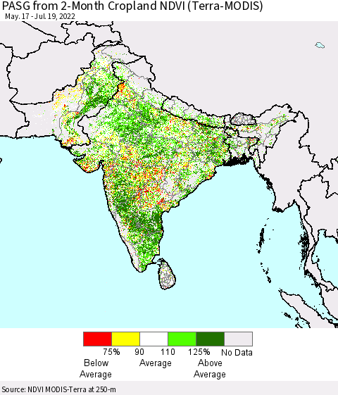 Southern Asia PASG from 2-Month Cropland NDVI (Terra-MODIS) Thematic Map For 7/12/2022 - 7/19/2022