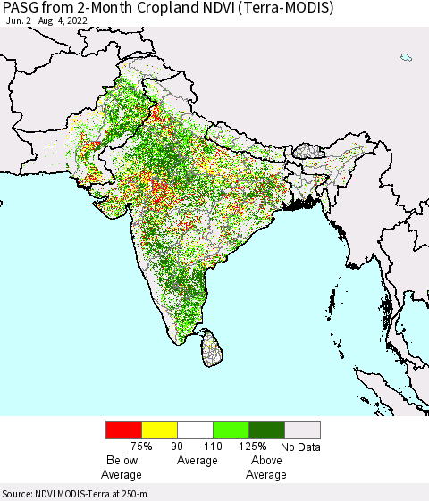 Southern Asia PASG from 2-Month Cropland NDVI (Terra-MODIS) Thematic Map For 7/28/2022 - 8/4/2022