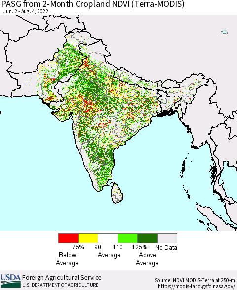 Southern Asia PASG from 2-Month Cropland NDVI (Terra-MODIS) Thematic Map For 8/1/2022 - 8/10/2022