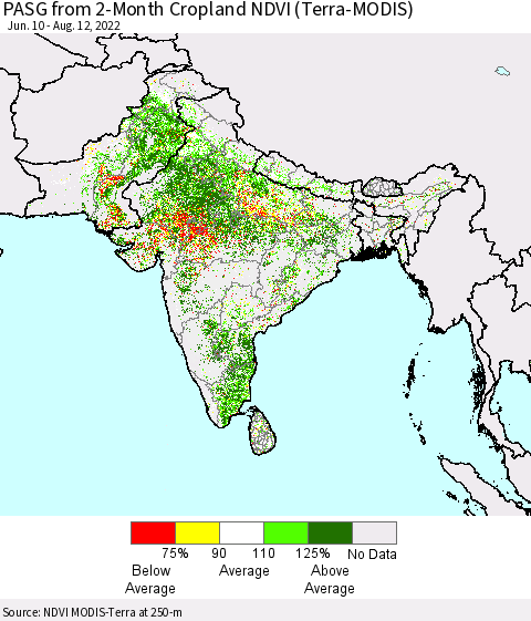 Southern Asia PASG from 2-Month Cropland NDVI (Terra-MODIS) Thematic Map For 8/5/2022 - 8/12/2022