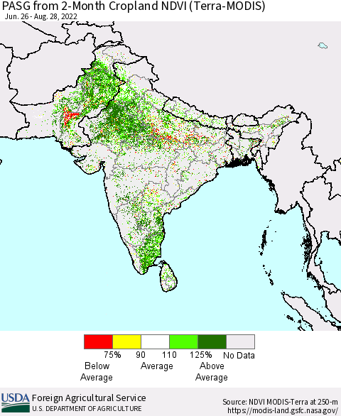 Southern Asia PASG from 2-Month Cropland NDVI (Terra-MODIS) Thematic Map For 8/21/2022 - 8/31/2022