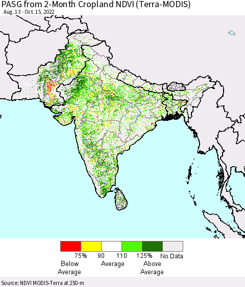Southern Asia PASG from 2-Month Cropland NDVI (Terra-MODIS) Thematic Map For 10/8/2022 - 10/15/2022