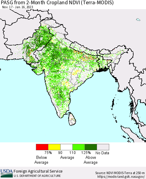 Southern Asia PASG from 2-Month Cropland NDVI (Terra-MODIS) Thematic Map For 1/11/2023 - 1/20/2023