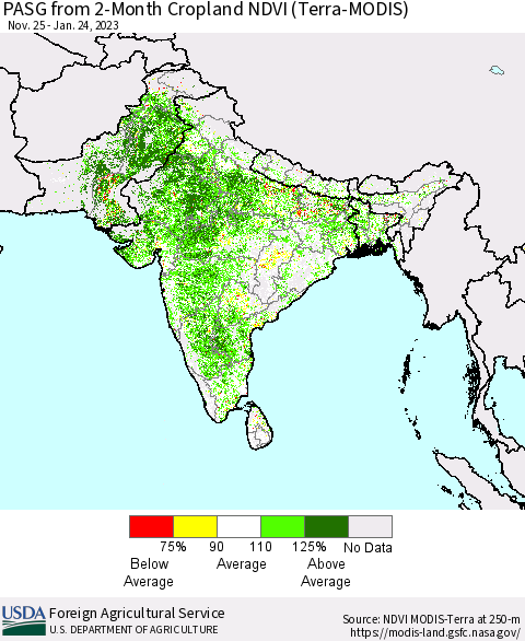 Southern Asia PASG from 2-Month Cropland NDVI (Terra-MODIS) Thematic Map For 1/21/2023 - 1/31/2023