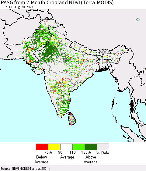 Southern Asia PASG from 2-Month Cropland NDVI (Terra-MODIS) Thematic Map For 8/13/2023 - 8/20/2023