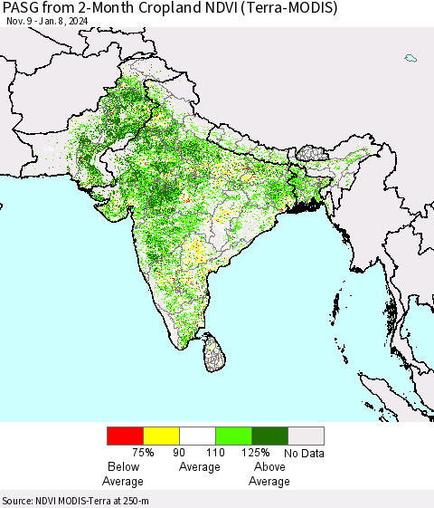 Southern Asia PASG from 2-Month Cropland NDVI (Terra-MODIS) Thematic Map For 1/1/2024 - 1/8/2024