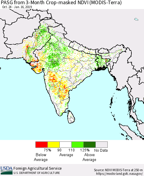 Southern Asia PASG from 3-Month Cropland NDVI (Terra-MODIS) Thematic Map For 1/11/2019 - 1/20/2019
