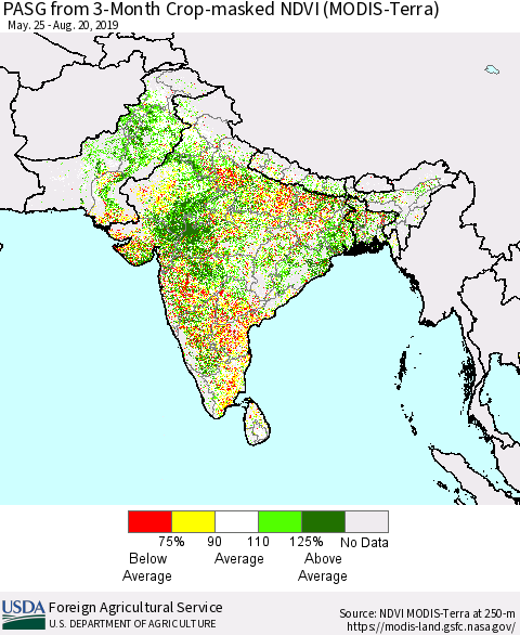Southern Asia PASG from 3-Month Cropland NDVI (Terra-MODIS) Thematic Map For 8/11/2019 - 8/20/2019