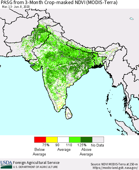 Southern Asia PASG from 3-Month Cropland NDVI (Terra-MODIS) Thematic Map For 6/1/2020 - 6/10/2020