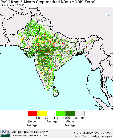 Southern Asia PASG from 3-Month Cropland NDVI (Terra-MODIS) Thematic Map For 8/21/2020 - 8/31/2020