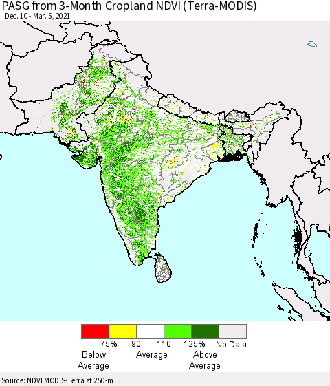 Southern Asia PASG from 3-Month Cropland NDVI (Terra-MODIS) Thematic Map For 2/26/2021 - 3/5/2021