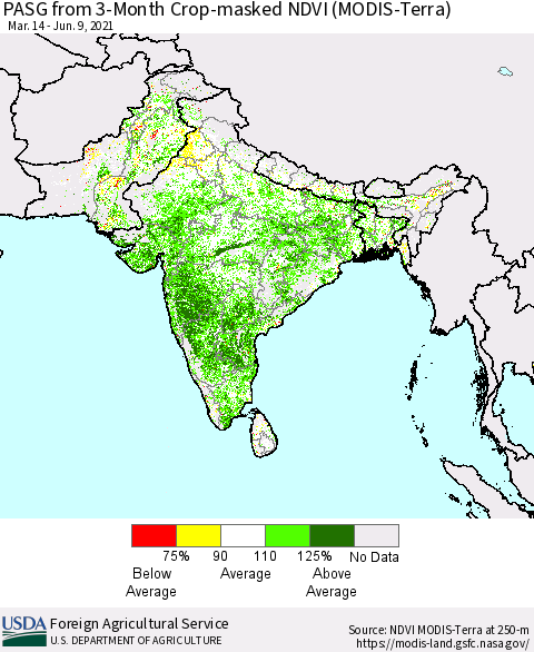 Southern Asia PASG from 3-Month Cropland NDVI (Terra-MODIS) Thematic Map For 6/1/2021 - 6/10/2021