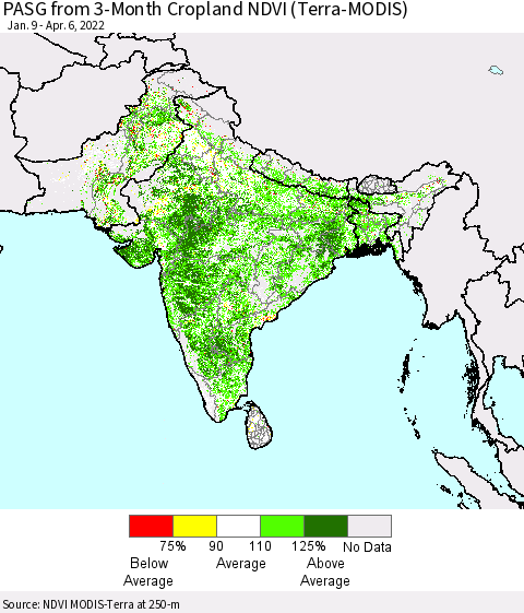 Southern Asia PASG from 3-Month Cropland NDVI (Terra-MODIS) Thematic Map For 3/30/2022 - 4/6/2022