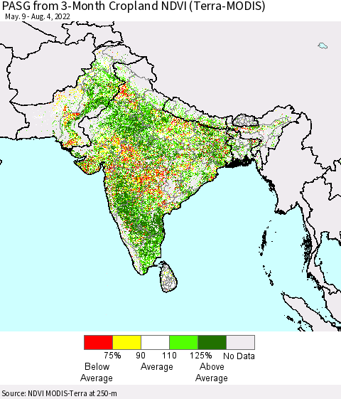 Southern Asia PASG from 3-Month Cropland NDVI (Terra-MODIS) Thematic Map For 7/28/2022 - 8/4/2022