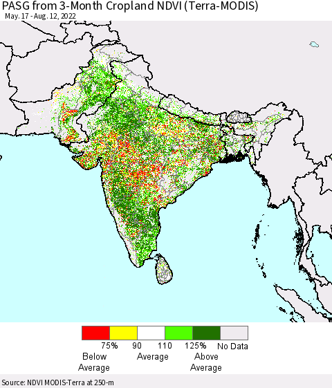 Southern Asia PASG from 3-Month Cropland NDVI (Terra-MODIS) Thematic Map For 8/5/2022 - 8/12/2022