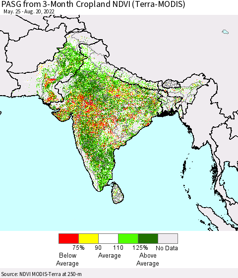 Southern Asia PASG from 3-Month Cropland NDVI (Terra-MODIS) Thematic Map For 8/11/2022 - 8/20/2022