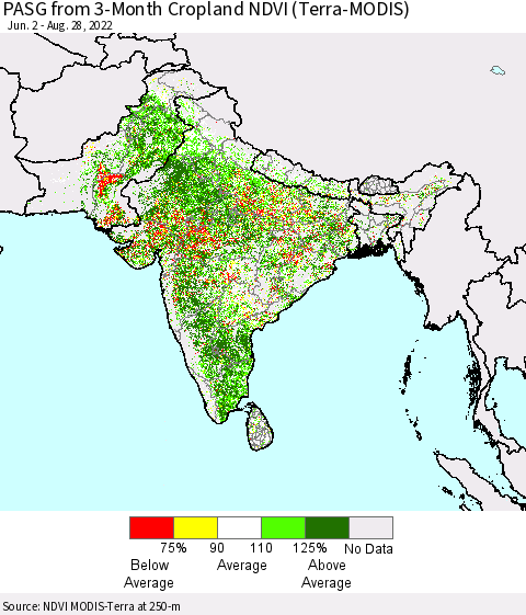 Southern Asia PASG from 3-Month Cropland NDVI (Terra-MODIS) Thematic Map For 8/21/2022 - 8/28/2022