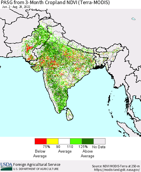 Southern Asia PASG from 3-Month Cropland NDVI (Terra-MODIS) Thematic Map For 8/21/2022 - 8/31/2022
