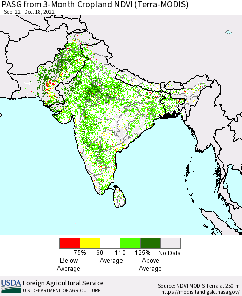 Southern Asia PASG from 3-Month Cropland NDVI (Terra-MODIS) Thematic Map For 12/11/2022 - 12/20/2022