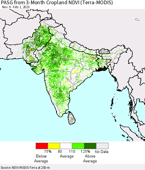 Southern Asia PASG from 3-Month Cropland NDVI (Terra-MODIS) Thematic Map For 1/25/2023 - 2/1/2023