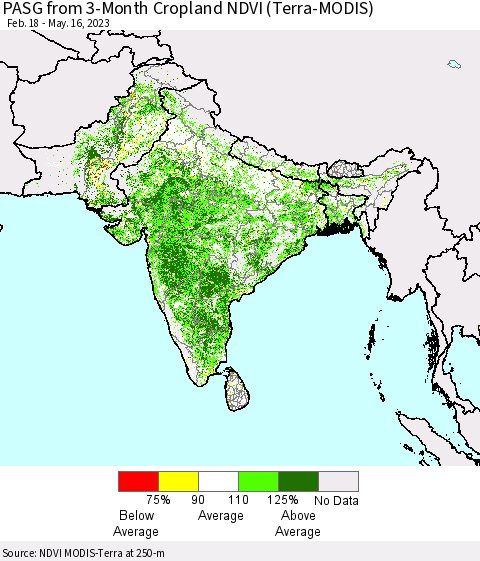 Southern Asia PASG from 3-Month Cropland NDVI (Terra-MODIS) Thematic Map For 5/9/2023 - 5/16/2023