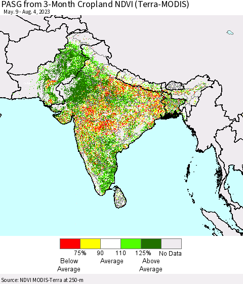 Southern Asia PASG from 3-Month Cropland NDVI (Terra-MODIS) Thematic Map For 7/28/2023 - 8/4/2023
