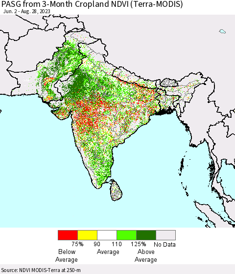 Southern Asia PASG from 3-Month Cropland NDVI (Terra-MODIS) Thematic Map For 8/21/2023 - 8/28/2023