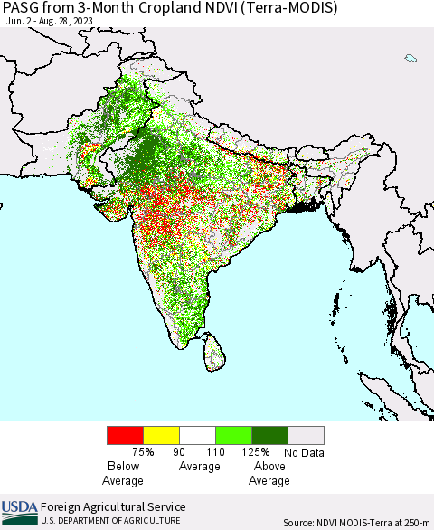 Southern Asia PASG from 3-Month Cropland NDVI (Terra-MODIS) Thematic Map For 8/21/2023 - 8/31/2023