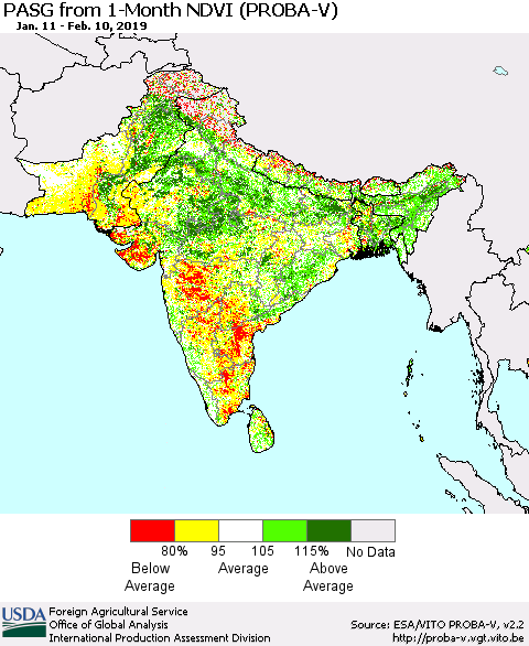 Southern Asia PASG from 1-Month NDVI (PROBA-V) Thematic Map For 2/1/2019 - 2/10/2019