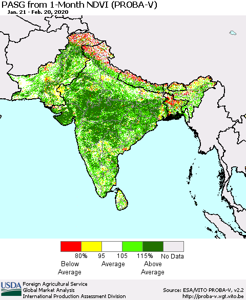 Southern Asia PASG from 1-Month NDVI (PROBA-V) Thematic Map For 2/11/2020 - 2/20/2020