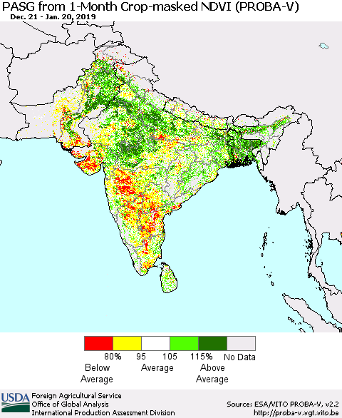 Southern Asia PASG from 1-Month Crop-masked NDVI (PROBA-V) Thematic Map For 1/11/2019 - 1/20/2019