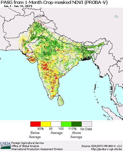 Southern Asia PASG from 1-Month Crop-masked NDVI (PROBA-V) Thematic Map For 1/21/2019 - 1/31/2019