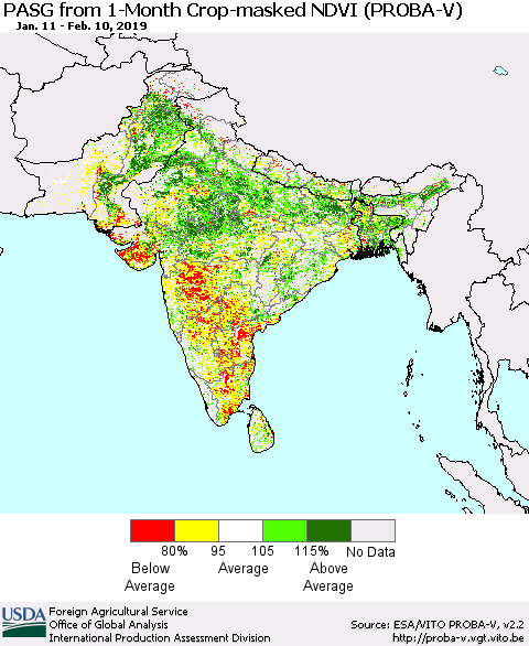 Southern Asia PASG from 1-Month Crop-masked NDVI (PROBA-V) Thematic Map For 2/1/2019 - 2/10/2019