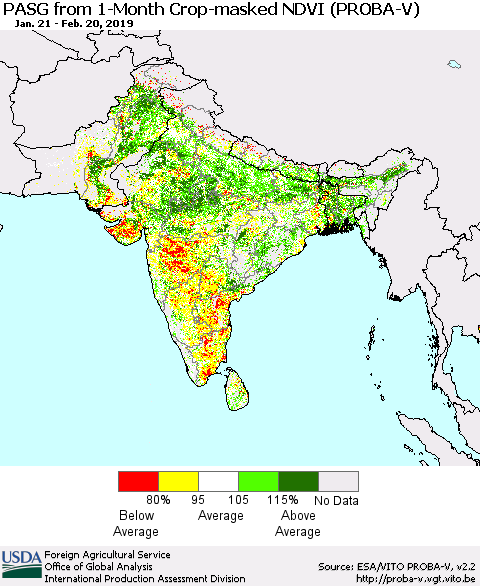 Southern Asia PASG from 1-Month Crop-masked NDVI (PROBA-V) Thematic Map For 2/11/2019 - 2/20/2019