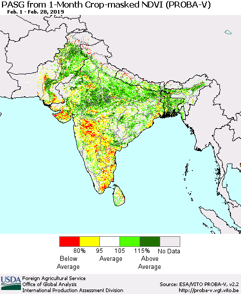 Southern Asia PASG from 1-Month Crop-masked NDVI (PROBA-V) Thematic Map For 2/21/2019 - 2/28/2019