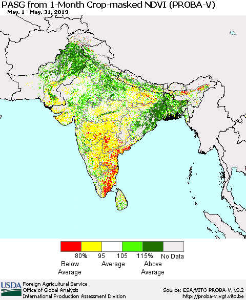 Southern Asia PASG from 1-Month Crop-masked NDVI (PROBA-V) Thematic Map For 5/21/2019 - 5/31/2019