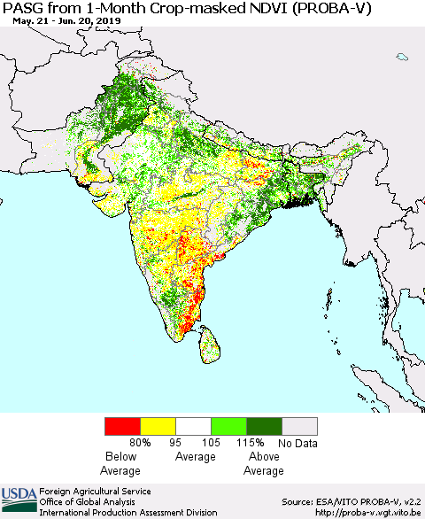 Southern Asia PASG from 1-Month Crop-masked NDVI (PROBA-V) Thematic Map For 6/11/2019 - 6/20/2019
