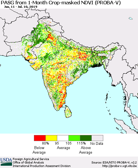 Southern Asia PASG from 1-Month Crop-masked NDVI (PROBA-V) Thematic Map For 7/1/2019 - 7/10/2019
