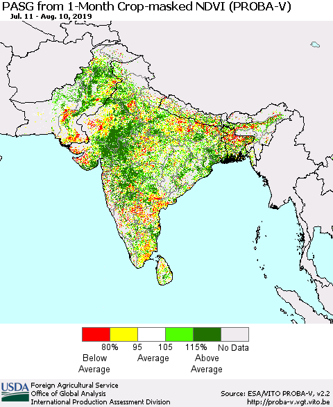 Southern Asia PASG from 1-Month Crop-masked NDVI (PROBA-V) Thematic Map For 8/1/2019 - 8/10/2019