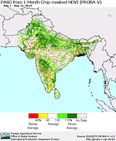 Southern Asia PASG from 1-Month Crop-masked NDVI (PROBA-V) Thematic Map For 8/21/2019 - 8/31/2019