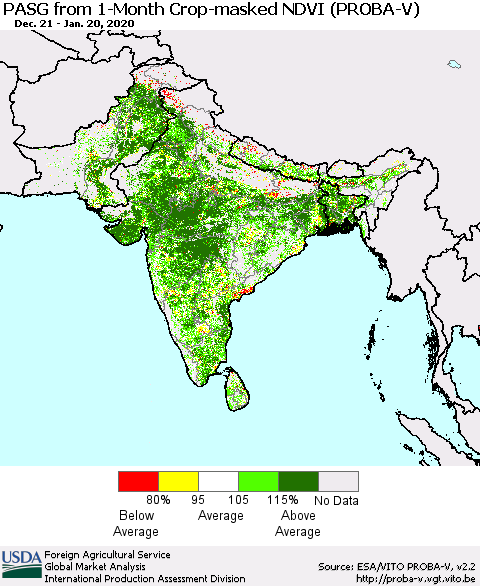 Southern Asia PASG from 1-Month Crop-masked NDVI (PROBA-V) Thematic Map For 1/11/2020 - 1/20/2020