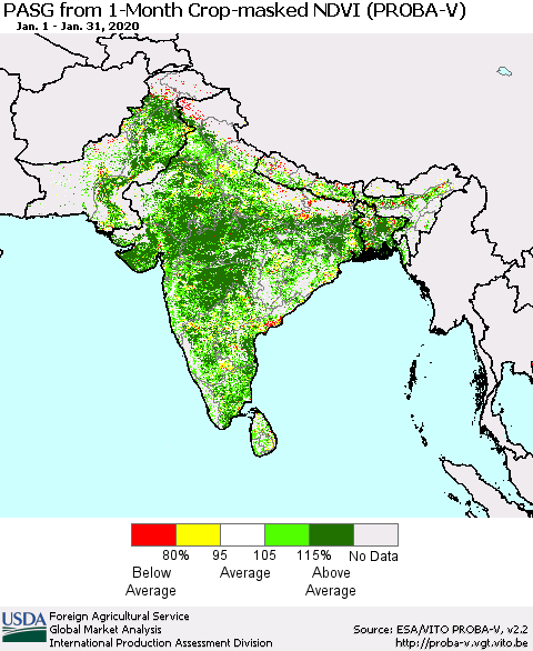 Southern Asia PASG from 1-Month Crop-masked NDVI (PROBA-V) Thematic Map For 1/21/2020 - 1/31/2020