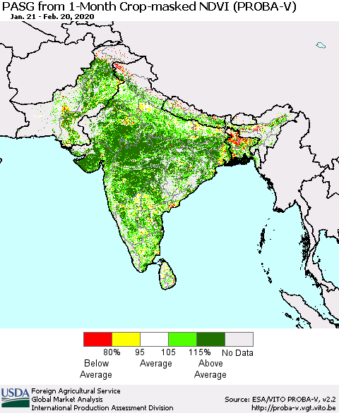 Southern Asia PASG from 1-Month Crop-masked NDVI (PROBA-V) Thematic Map For 2/11/2020 - 2/20/2020