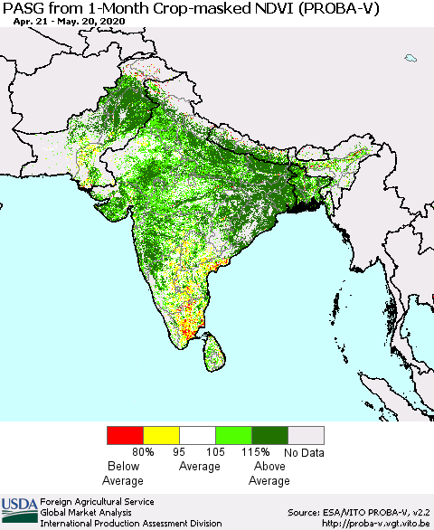 Southern Asia PASG from 1-Month Crop-masked NDVI (PROBA-V) Thematic Map For 5/11/2020 - 5/20/2020